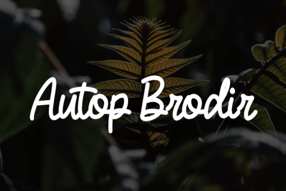 Autop Brodir Font