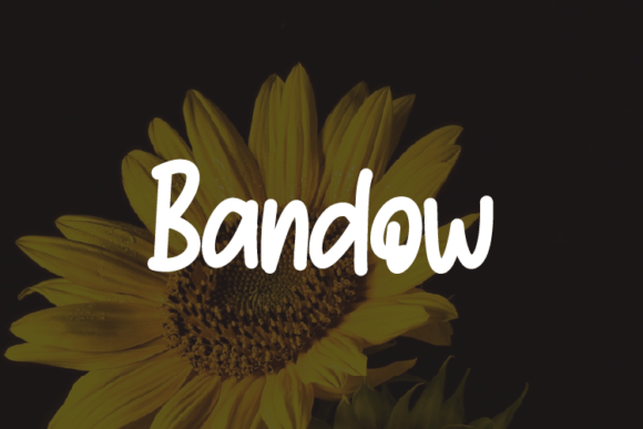 Bandow: A Modern Script Typeface for Elegant Branding