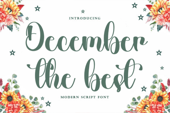 December Thebest: A Warm Script Handwritten Font for Campaigns