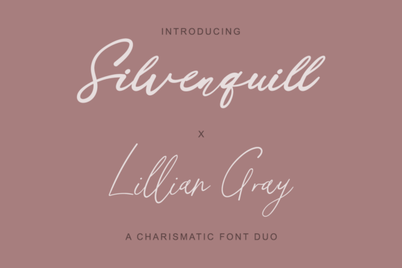 Silverquill X Lillian Gray: A Premium Script Font for Branding